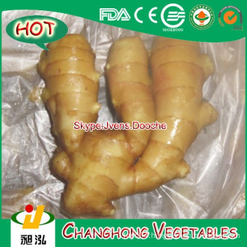 Fresh Ginger with 9kg/PVC Carton